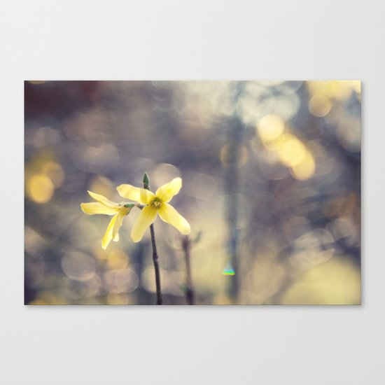 Garden: end of winter Canvas Print