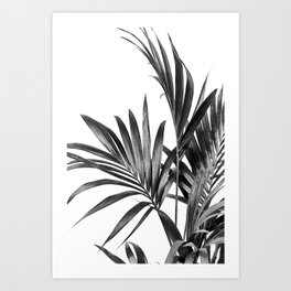 Palm Leaves Black and White 01 Art Print