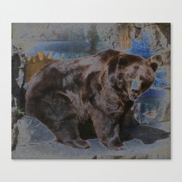 Solar Bear Canvas Print