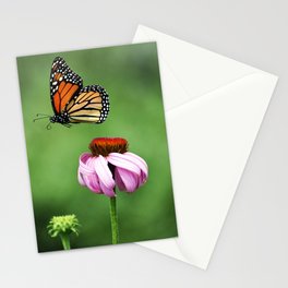 Monarch Butterfly & Echinacea  Stationery Cards