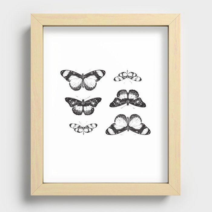 butterfly Recessed Framed Print