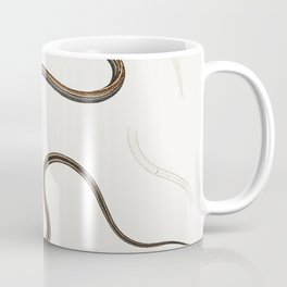 Lined backed Elaps & Chain Spotted Lycodon Mug