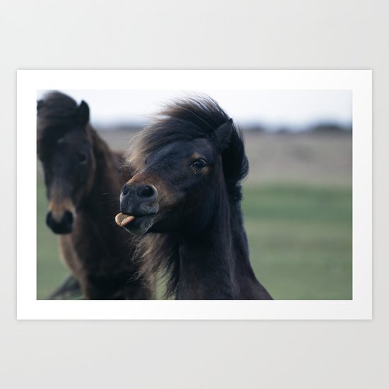 DARTMOOR PONY WITH ATTITUDE Art Print