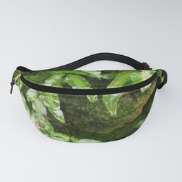 The Fernery Fanny Pack