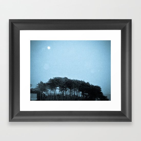 Blue Cypress Framed Art Print