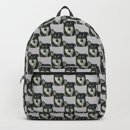 Bjorn - Malamute Samoyed Husky Mix Backpack