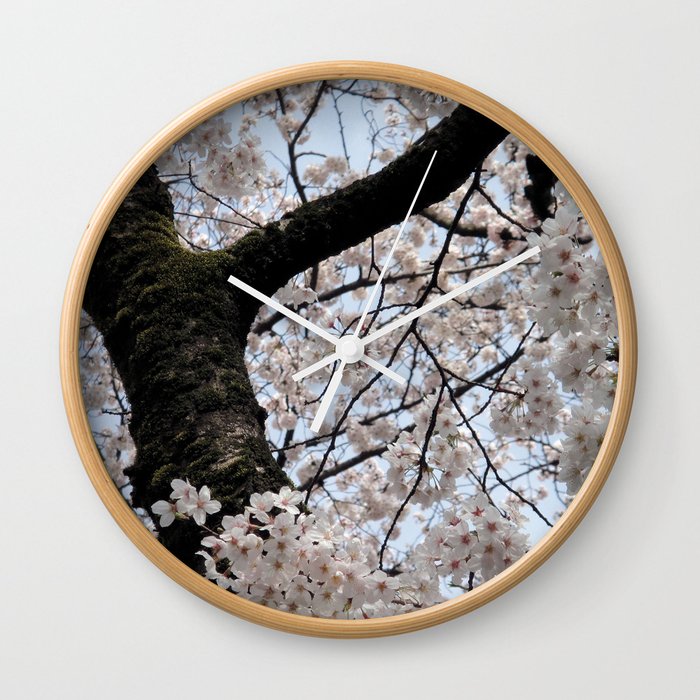 Sakura Blooming (Japan) Wall Clock
