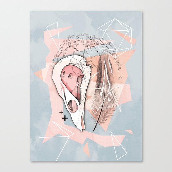 Feather Box V2 Canvas Print