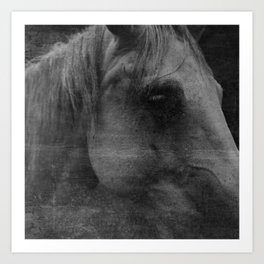 Equestrian Painting Canvas Prints Society6