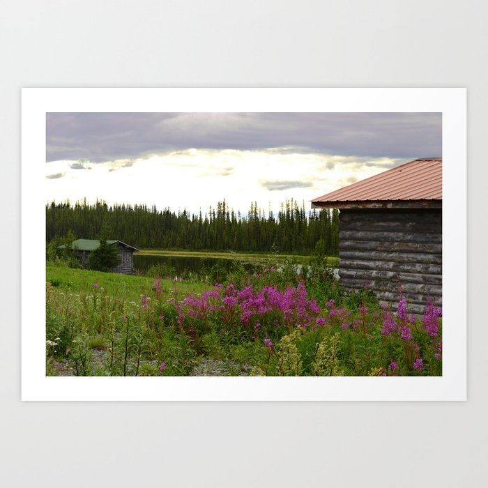 Pioneer Cabin Ii Alaska Art Print By Alaskanmommabear Society6