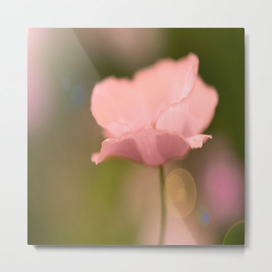 Dreamy Poppy Metal Print