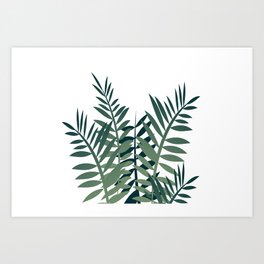 palm fern leaves big size Art Print