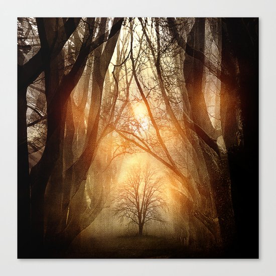 Searching Dreams Lost Canvas Print