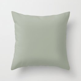 DESERT SAGE dusty solid color Throw Pillow