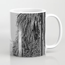 Hollywood Sign, Hancock Park Street view line by palm trees black and white photograph Coffee Mug