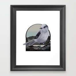 Alpine Gray Jay Bird Framed Art Print