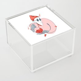 Stealer of hearts Acrylic Box