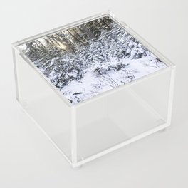 winter woods Acrylic Box