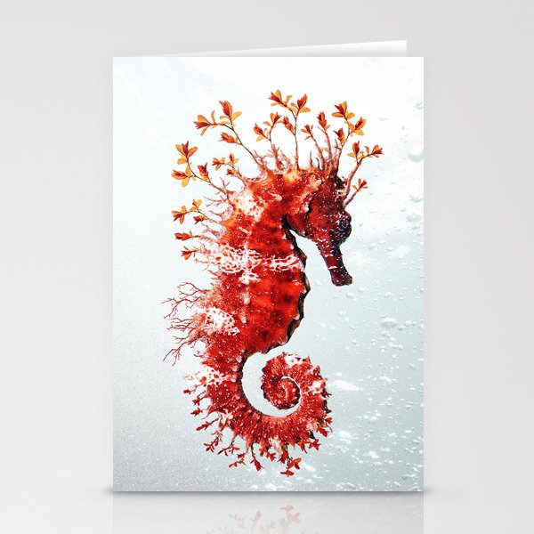 Scarlet Seahorse Stationery Cards