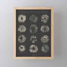 Spore Prints of North American Mushrooms (White on Charcoal) Framed Mini Art Print