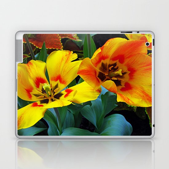 Like Alice in Wonderland Laptop & iPad Skin
