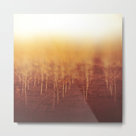 Musing Metal Print