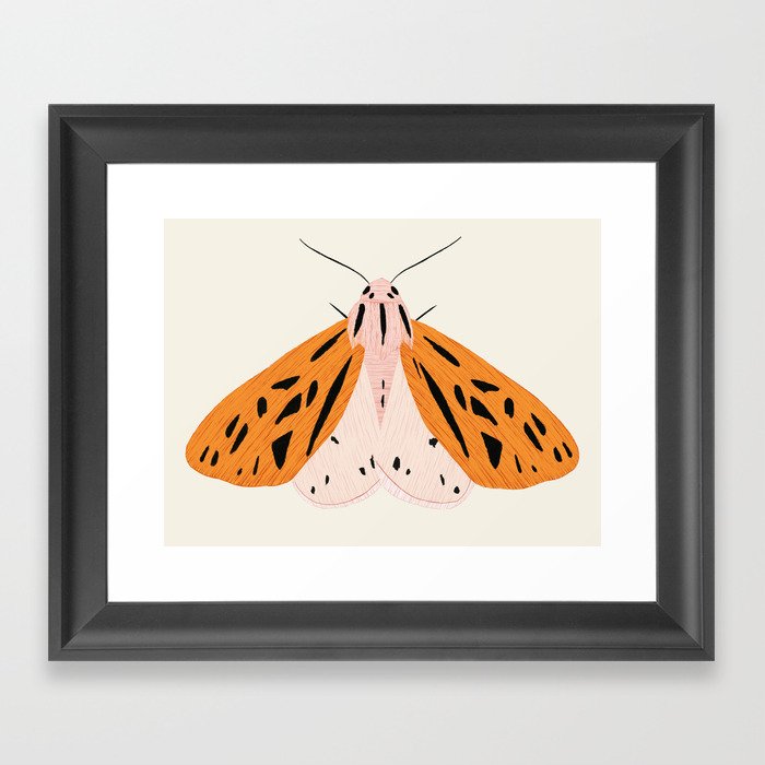 butterfly Framed Art Print