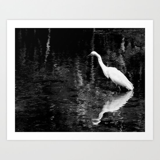 Heron at Millpond Setauket L.I. Art Print