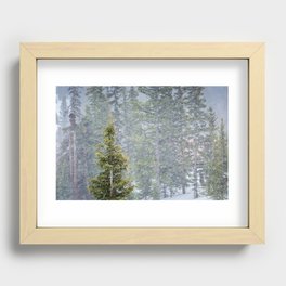Winter Trees in Colorado Recessed Framed Print