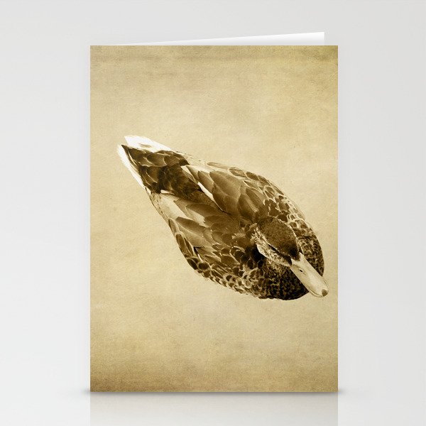Duck on Brown Stationery Cards