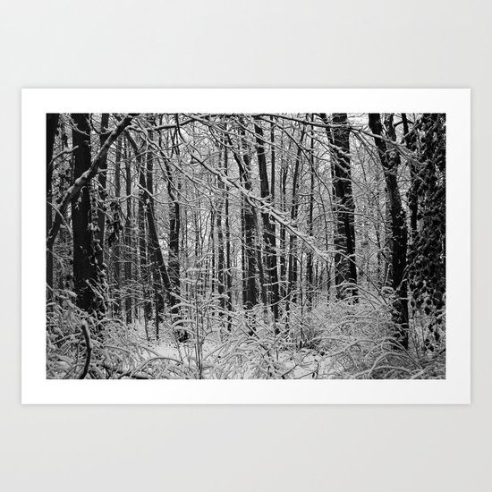 Snow Forest Art Print