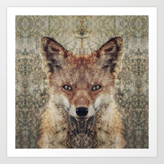 Fox II Art Print
