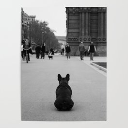 French Bulldog Poster