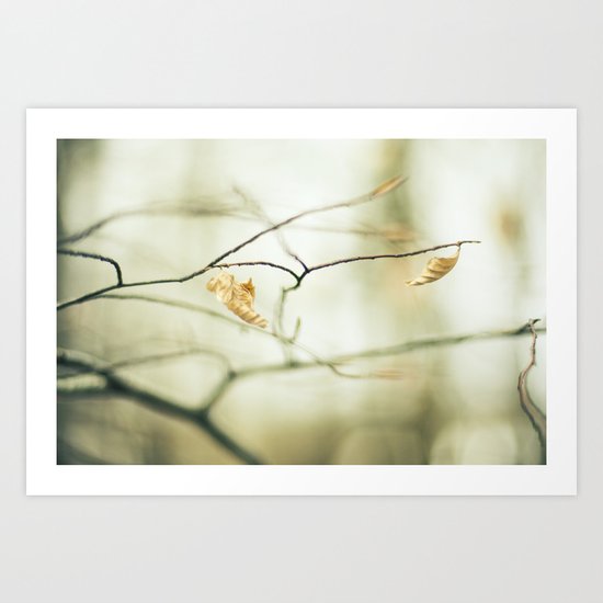 Land Awakening Art Print