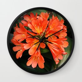 Clivia Miniata - The Orange Beautiful Flower Wall Clock | Photo, Leaves, Green, Garden, Orange, Beautiful, Nature, Greenleaves, Spring, Plant 