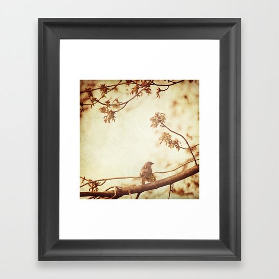 Morning Song Framed Art Print