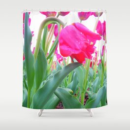 Hang Low Shower Curtain