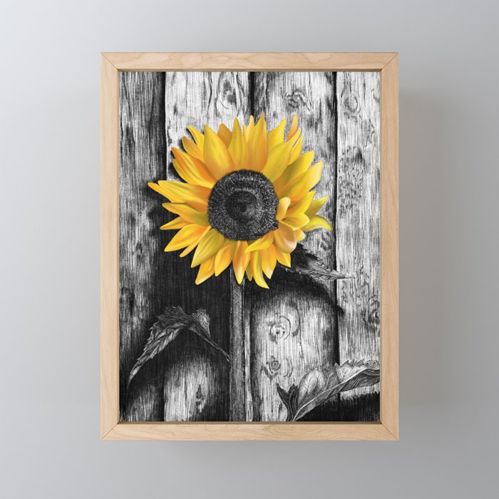 Sunflower Framed Mini Art Print