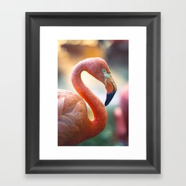 Pink Flamingo Framed Art Print