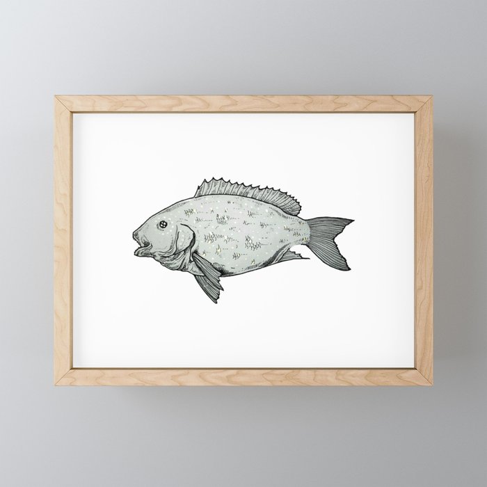 Fish Framed Mini Art Print