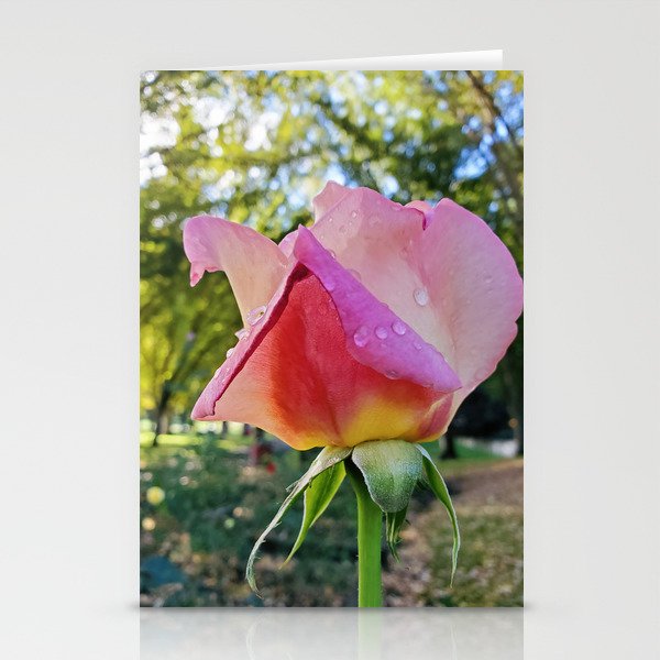 friends to lovers rose Stationery Cards