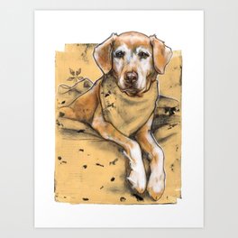 Daily dogs: three of three Art Print
