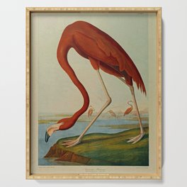 American Flamingo by John Audubon (1785 – 1851) Reproduction. Serving Tray