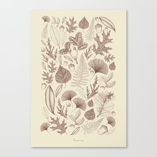 Study of Growth Canvas Print