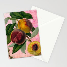 Vintage Botanical Collage, Bradford Peach Stationery Card