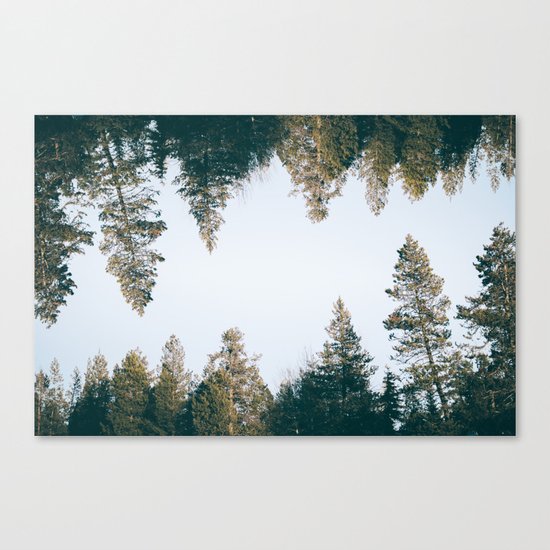 Forest Reflections IX Canvas Print