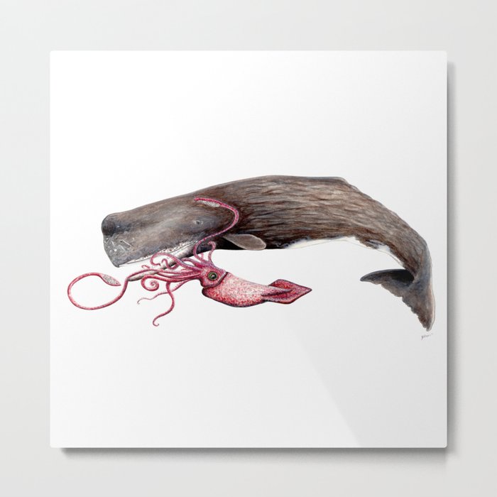 Epic battle between the sperm whale and the giant squid Metal Print