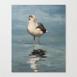 seagull with a black wing Canvas Print