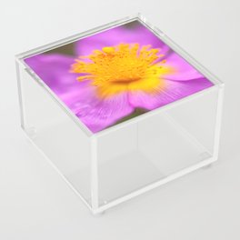 Wild Rose Acrylic Box