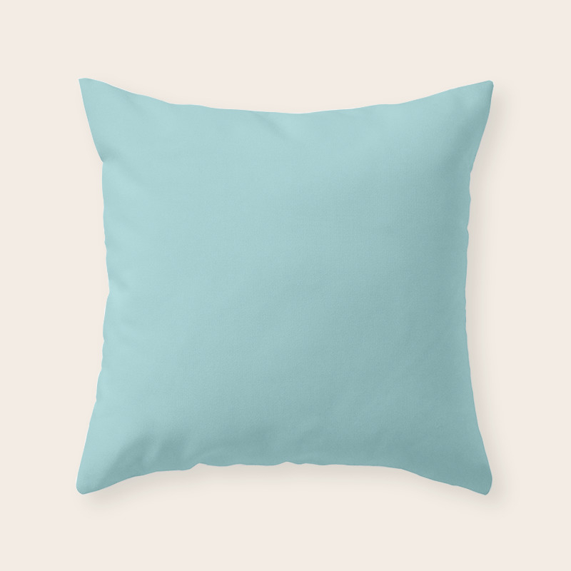 powder blue pillows